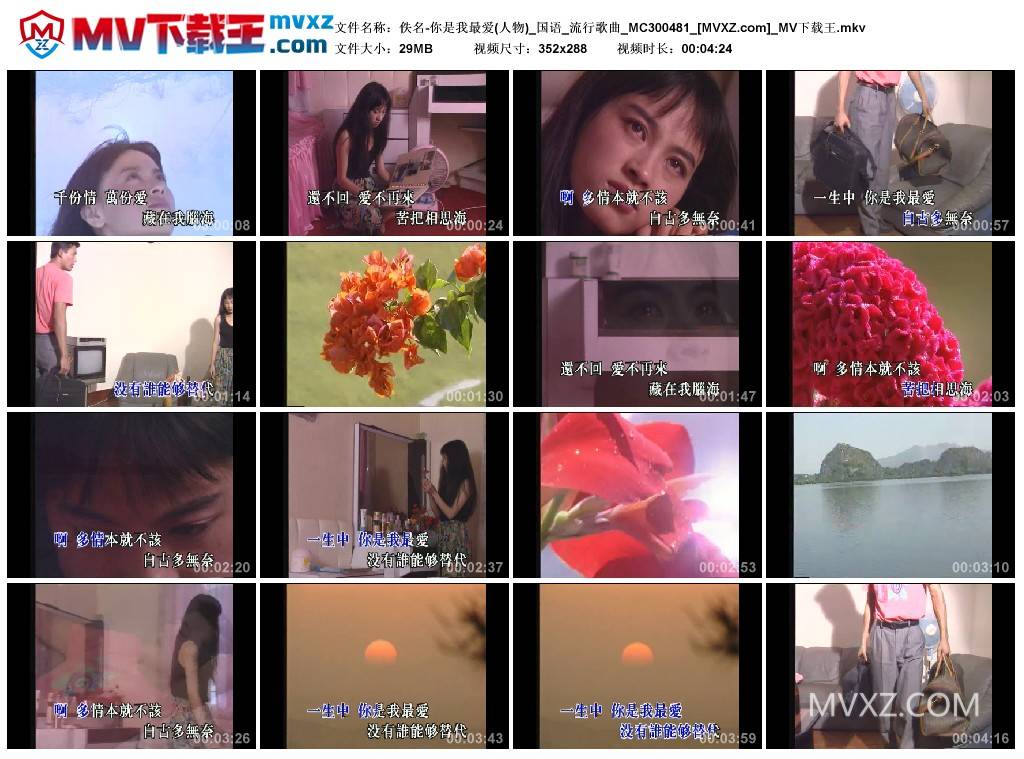 佚名-你是我最爱(人物)_国语_流行歌曲_MC300481
